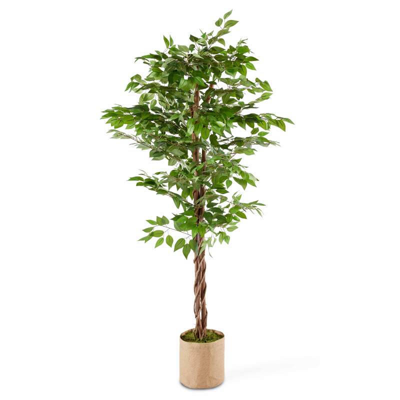 Ficus artificiale in vaso altezza 180 cm