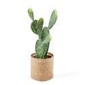 Cactus artificiale in vaso altezza 60 cm