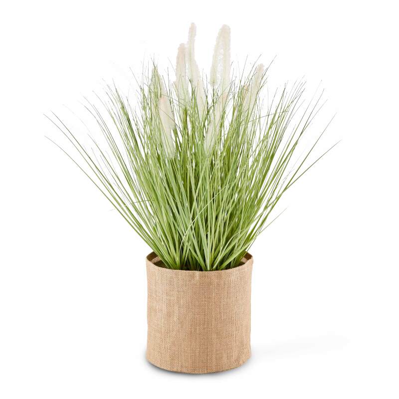 Pennisetum artificiale in vaso altezza 75 cm