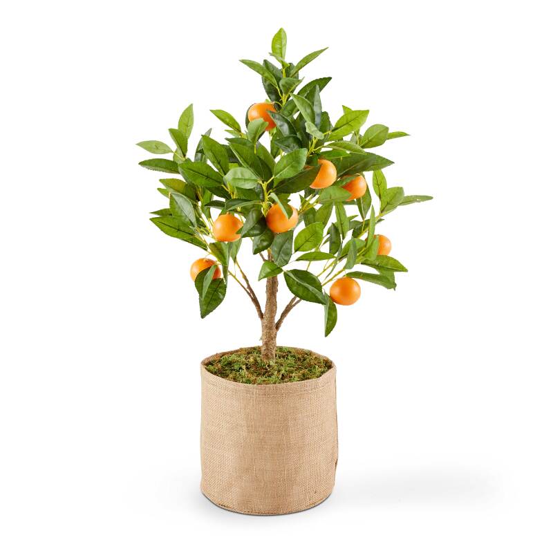 Arancio artificiale in vaso altezza 75 cm